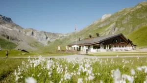 AZ 0068 engstligenalp summer 130722