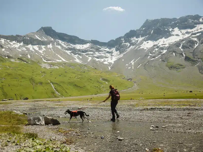 wandernmithund 3 jpg