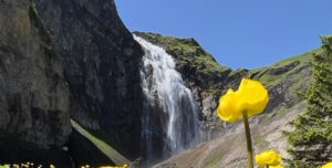 wasserfall e1655039836742
